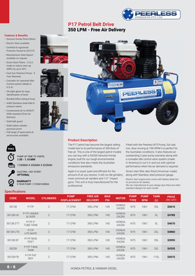 PEERLESS P17P PETROL BELT DRIVE